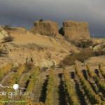 queenstown wine trips