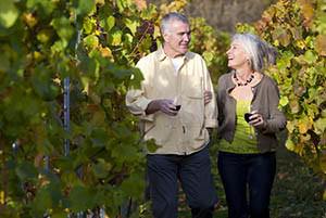 golf and wine tour in nz